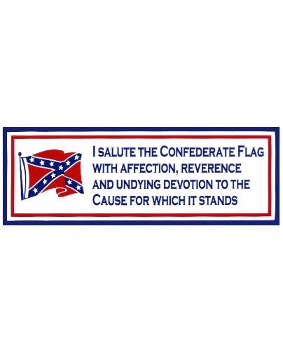I Salute the Confederate Flag bumper sticker